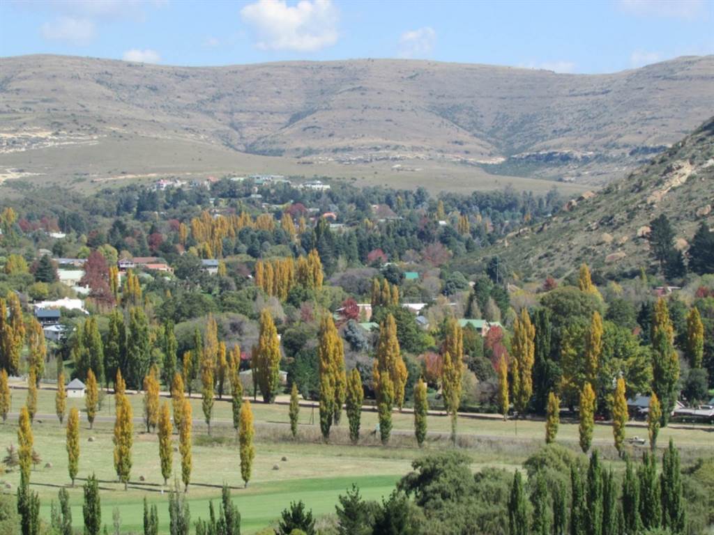 664 m² Land available in Clarens photo number 10