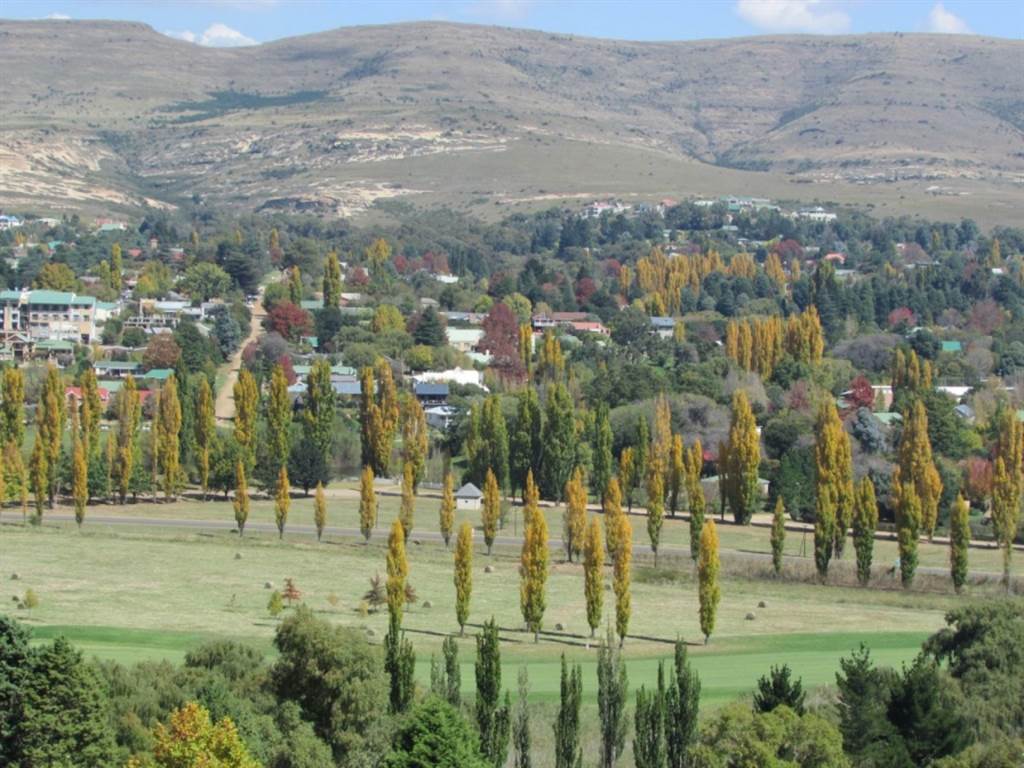 664 m² Land available in Clarens photo number 3