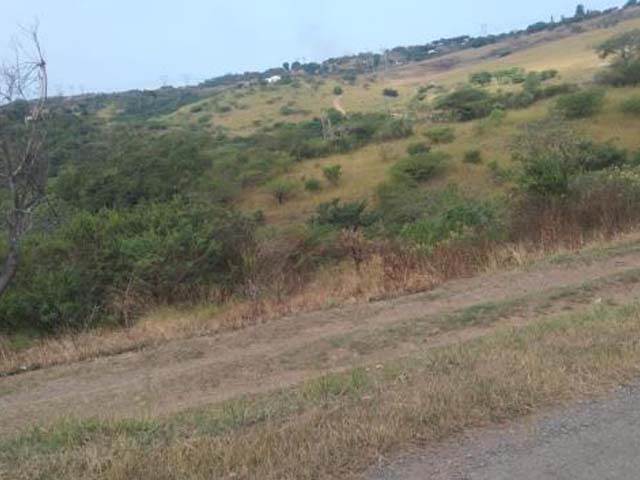 1440 m² Land available in Mandini photo number 4