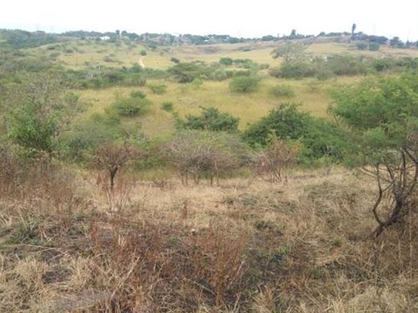 1440 m² Land available in Mandini
