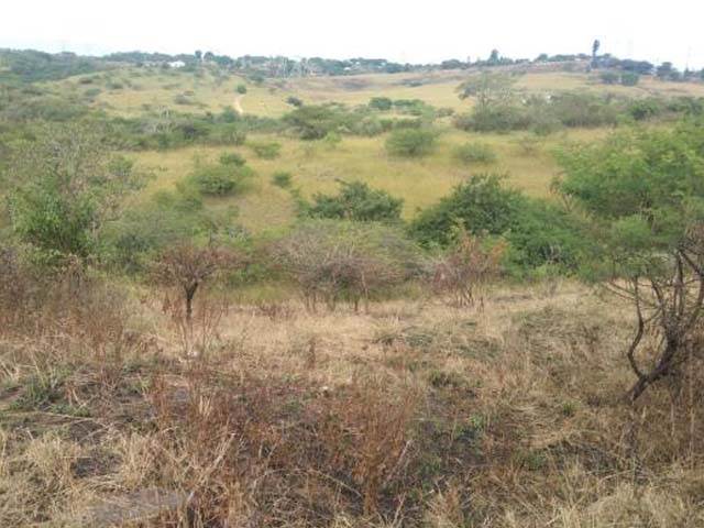 1440 m² Land available in Mandini photo number 1