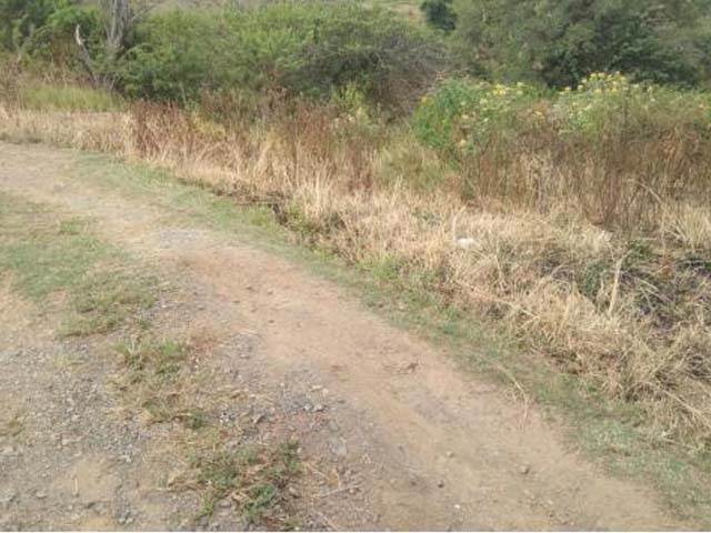 1440 m² Land available in Mandini photo number 2