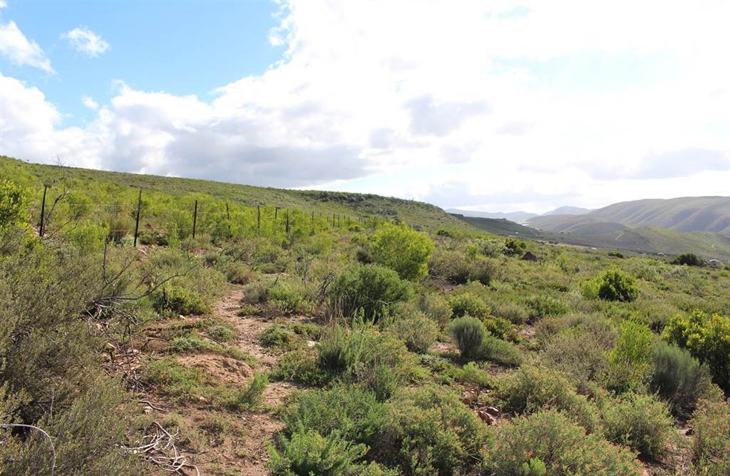 27 ha Land available in Joubertina photo number 4