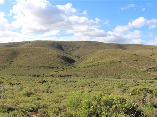 27 ha Land available in Joubertina