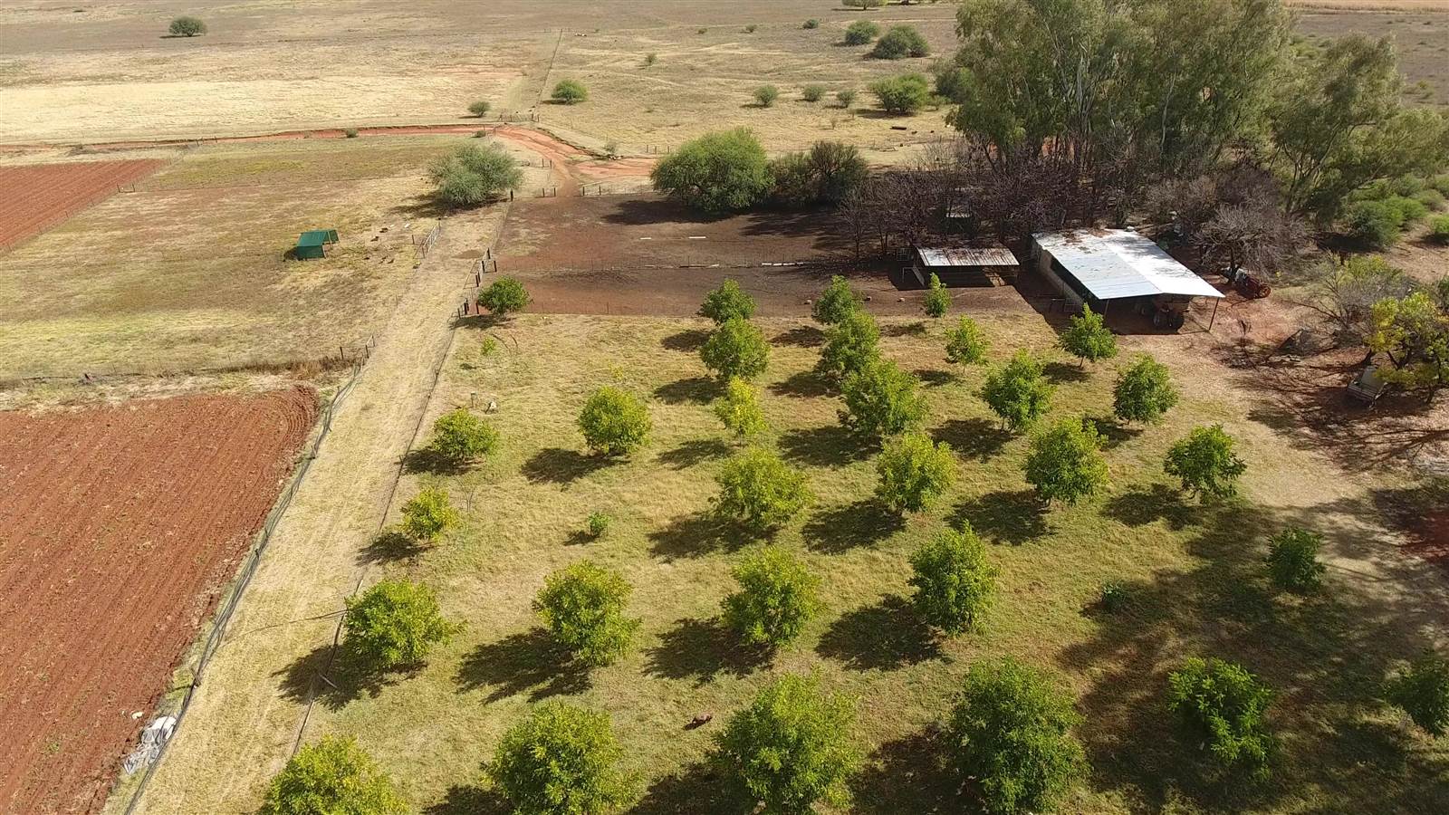 125 ha Farm in Bloemfontein Rural photo number 24