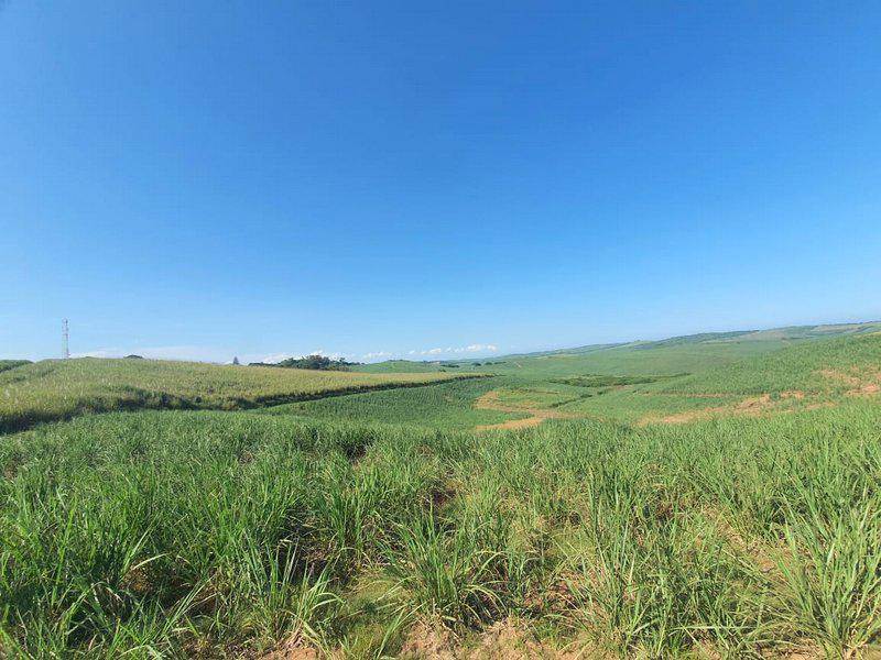 332 ha Land available in Tinley Manor and surrounds photo number 4