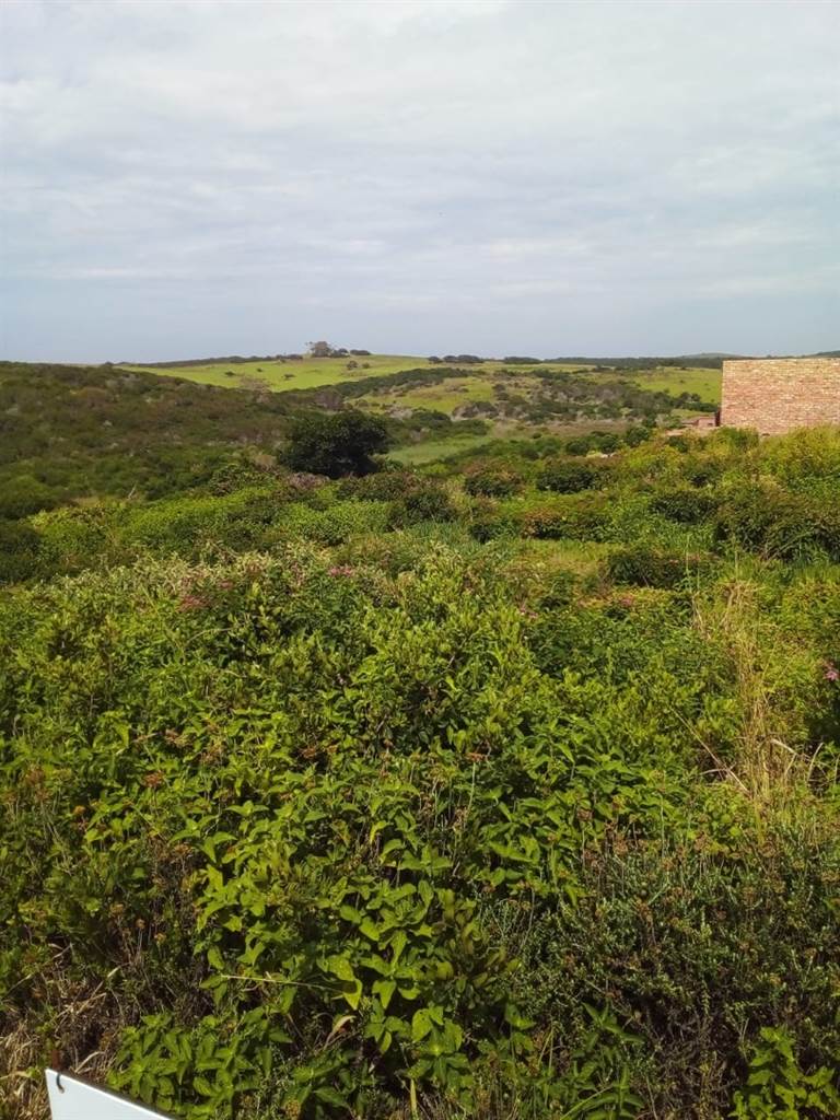 966 m² Land available in West Bank photo number 3