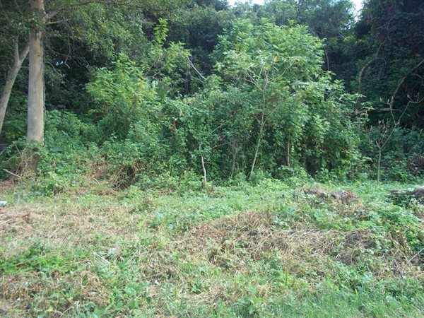 917 m² Land available in Hazyview