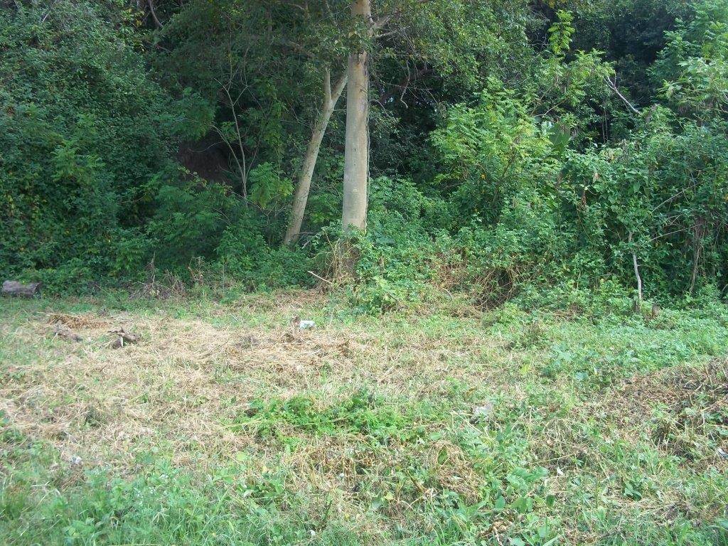 917 m² Land available in Hazyview photo number 2