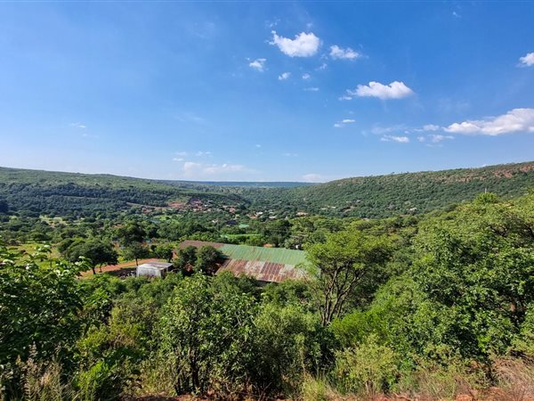 1000 m² Land available in Presidentsrus