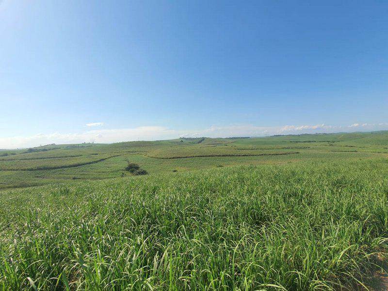 105 ha Land available in Tinley Manor and surrounds photo number 3