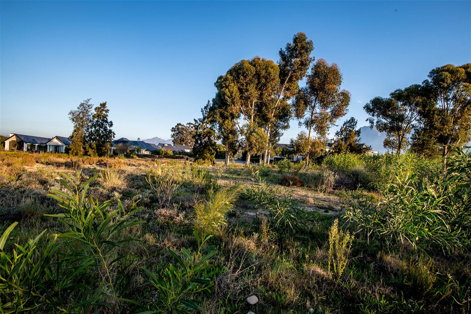 1166 m² Land available in Val de Vie photo number 6