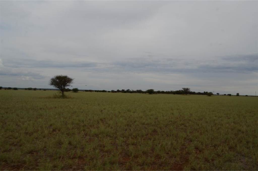 560 ha Farm in Roedtan photo number 16