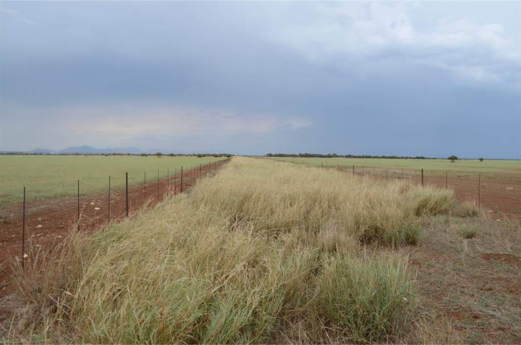560 ha Farm in Roedtan photo number 21