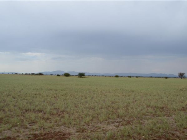 560 ha Farm in Roedtan