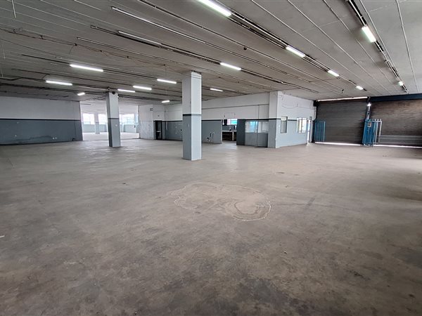 1593  m² Industrial space in Wynberg
