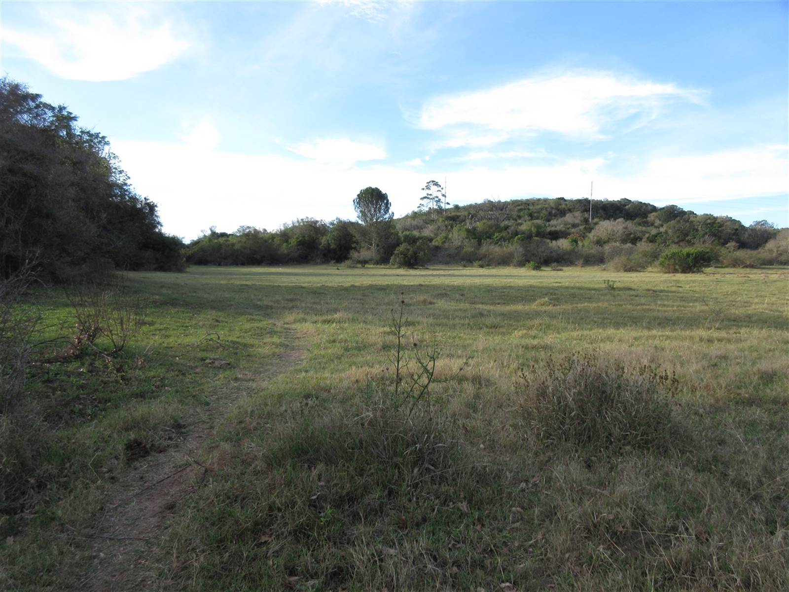 8576 m² Land available in Bathurst and Surrounds photo number 2
