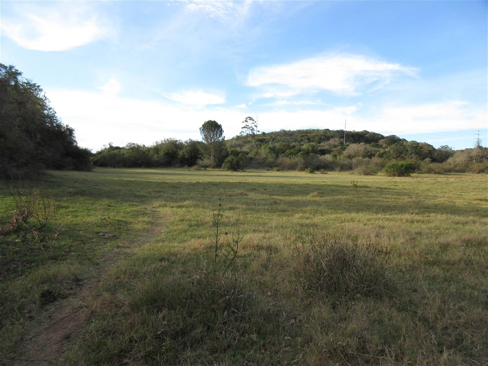 8576 m² Land available in Bathurst and Surrounds photo number 5