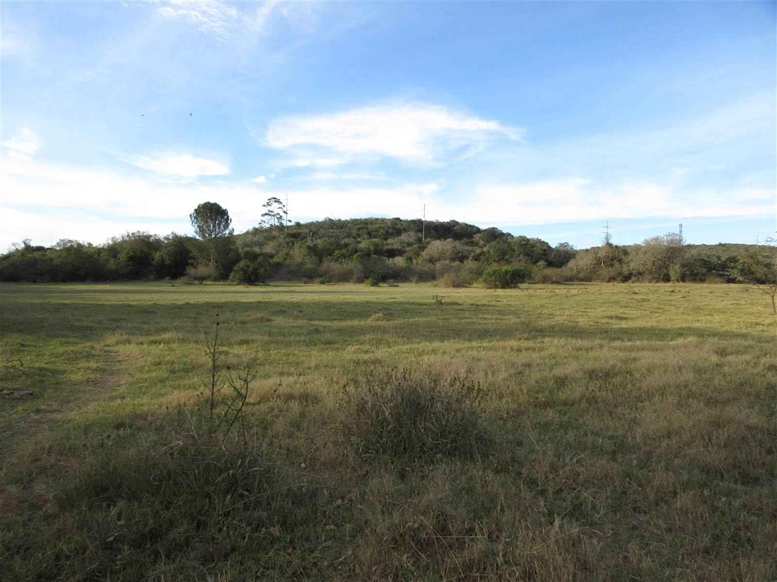 8576 m² Land available in Bathurst and Surrounds photo number 4