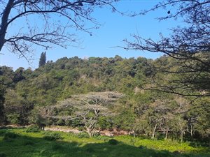 1500 m² Land available in Dawncrest