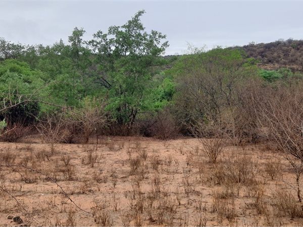 3 821 m² Land 3 821 m² Land