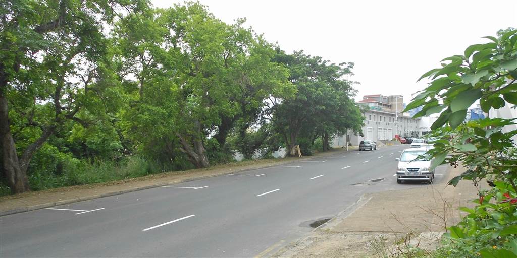 1122 m² Land available in Margate photo number 2