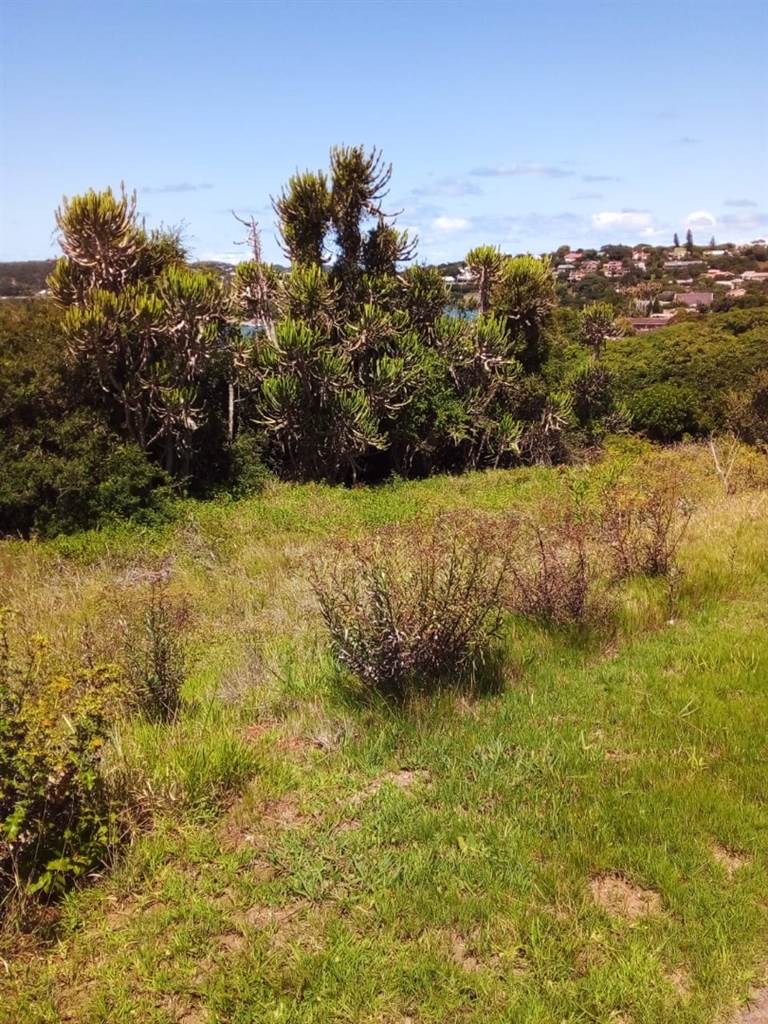 1267 m² Land available in West Bank photo number 4