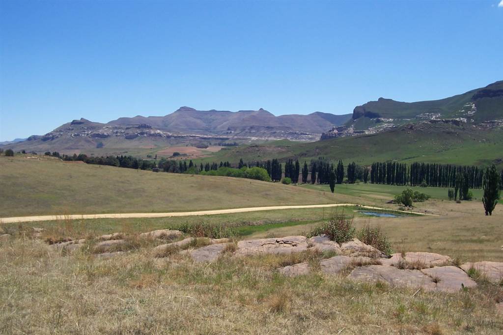 1 ha Land available in Clarens photo number 4