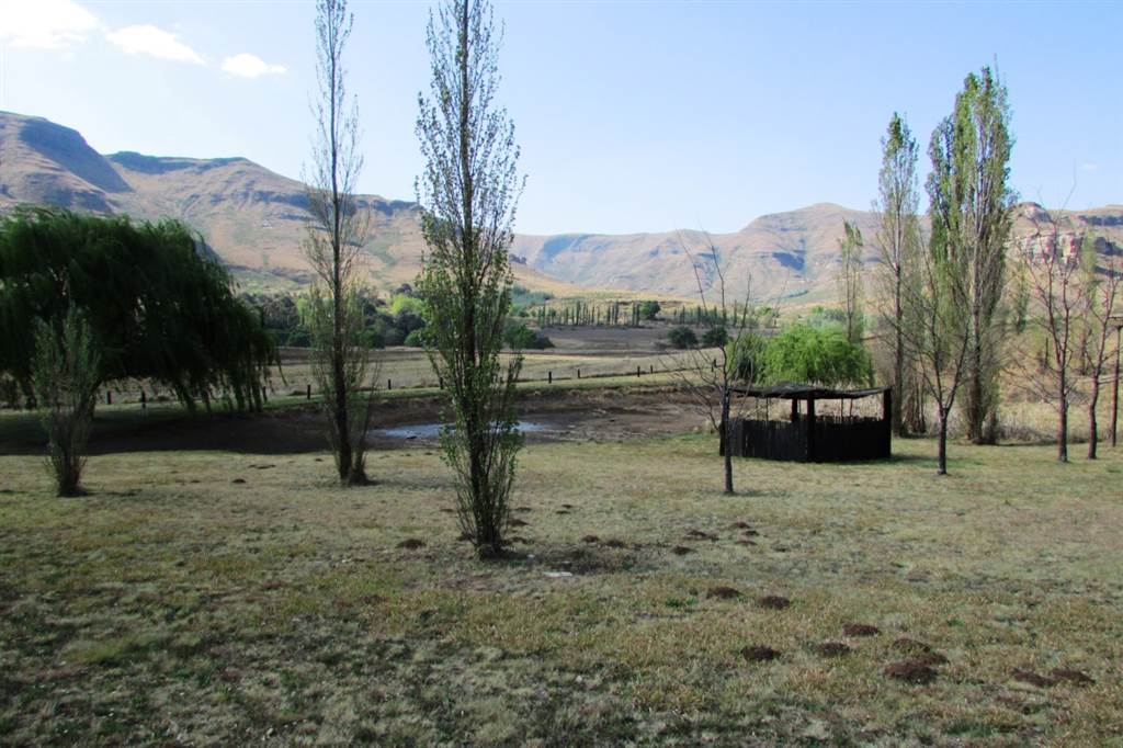 1 ha Land available in Clarens photo number 9