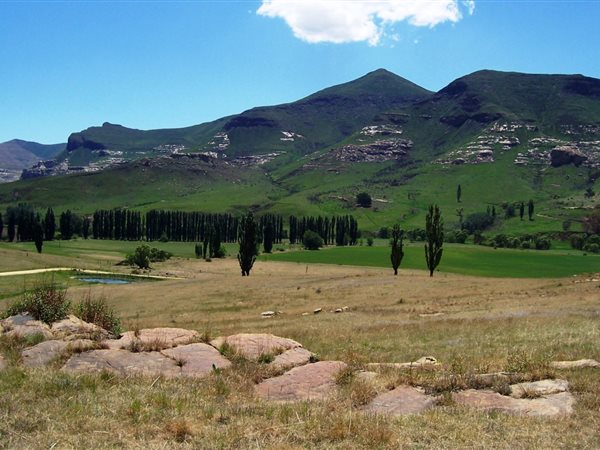 1 ha Land available in Clarens