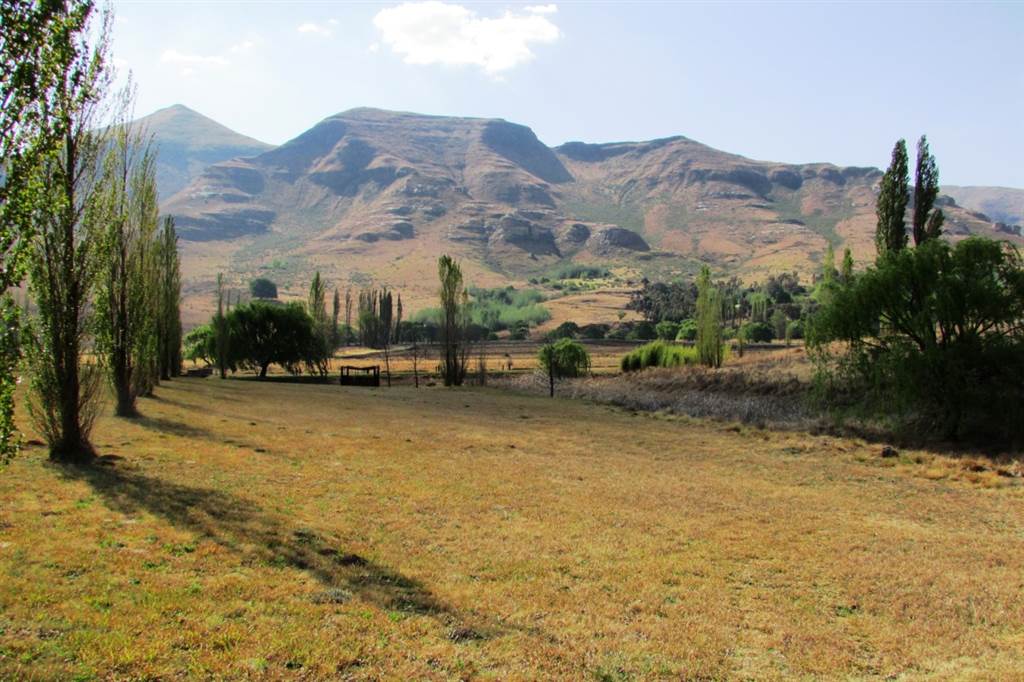 1 ha Land available in Clarens photo number 8