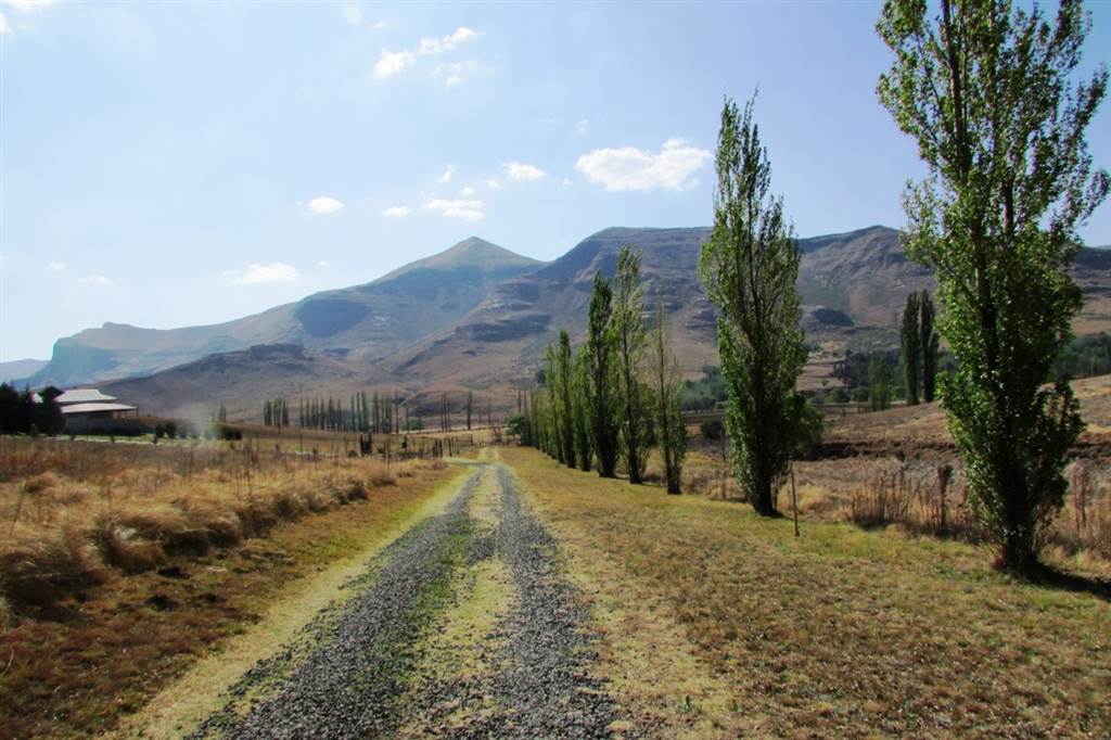 1 ha Land available in Clarens photo number 7