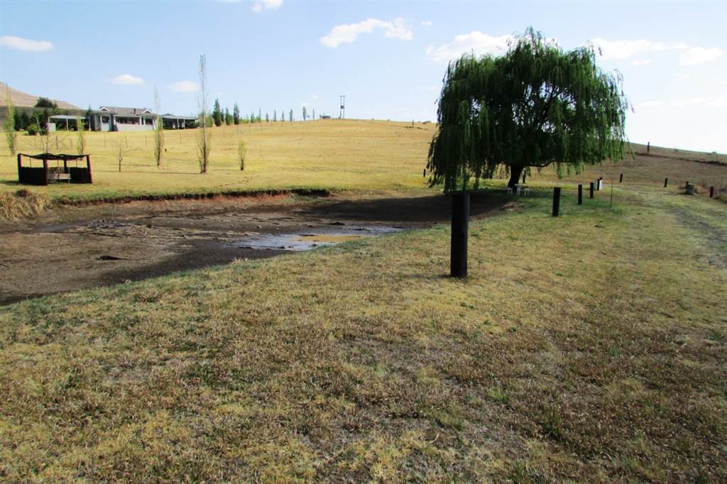1 ha Land available in Clarens photo number 12