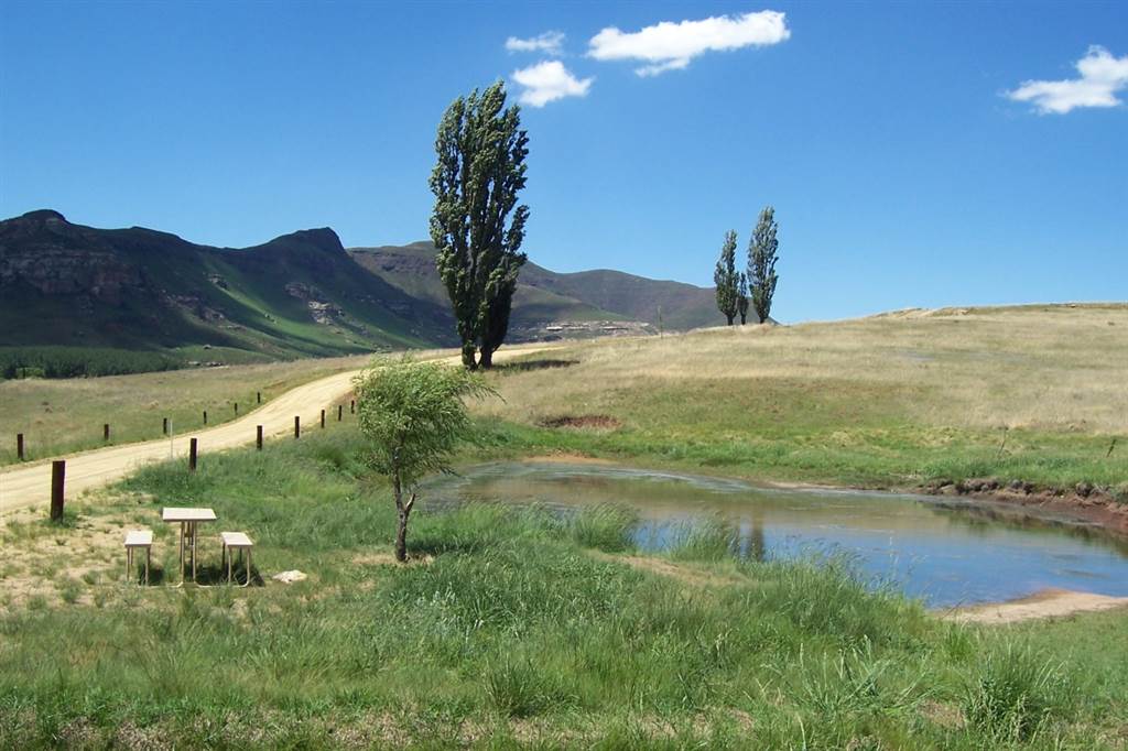 1 ha Land available in Clarens photo number 3