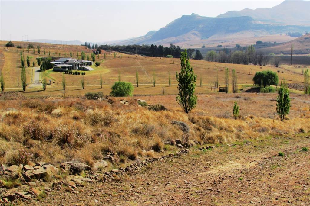 1 ha Land available in Clarens photo number 13