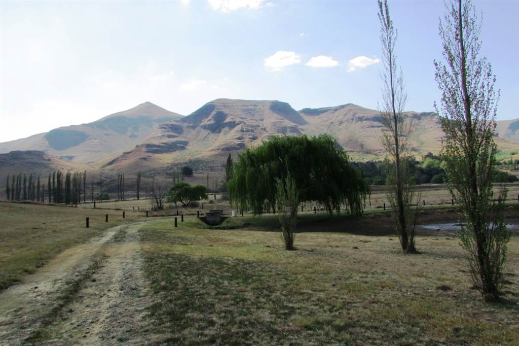 1 ha Land available in Clarens photo number 10
