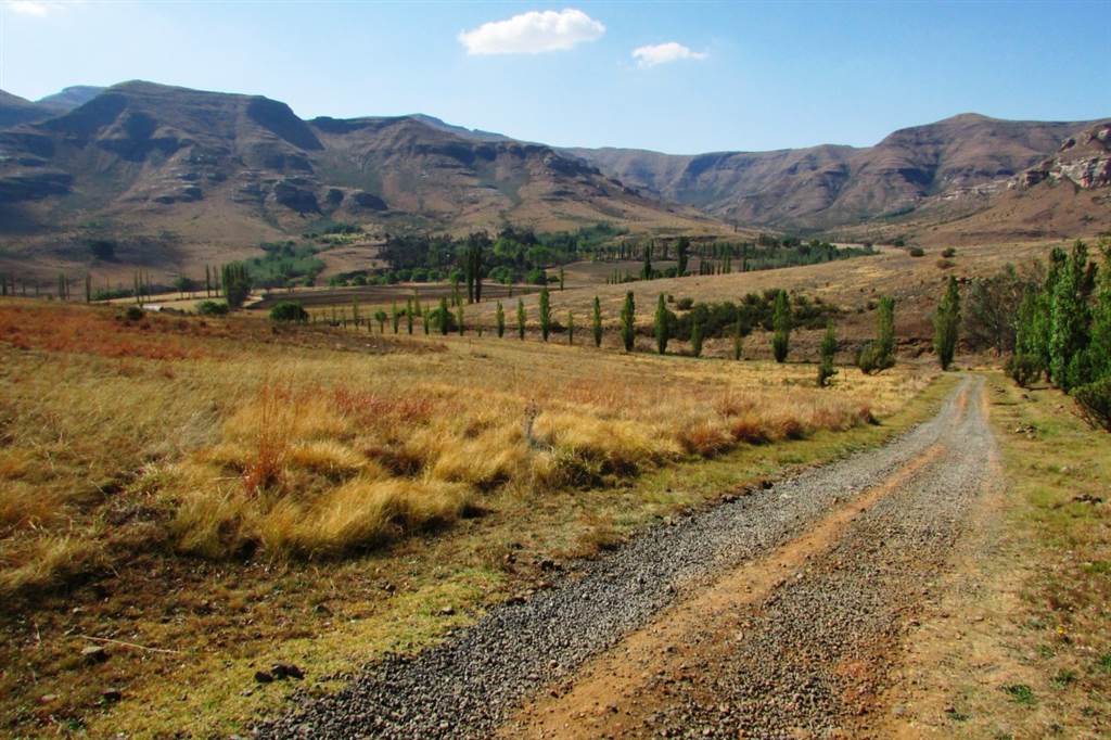 1 ha Land available in Clarens photo number 6