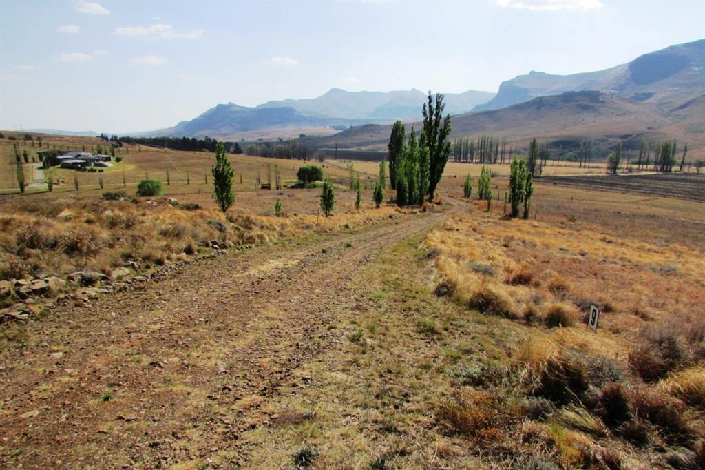 1 ha Land available in Clarens photo number 5