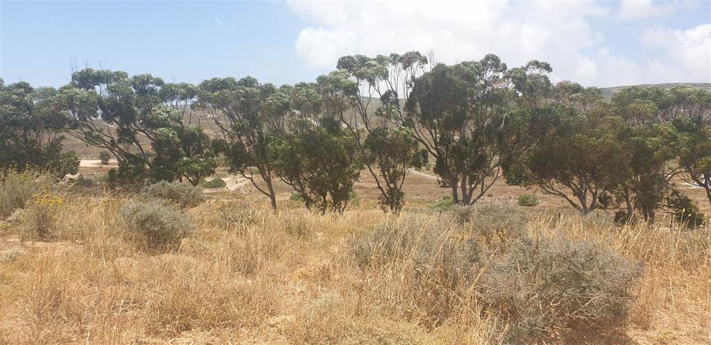 954 m² Land available in Britannica Heights photo number 12