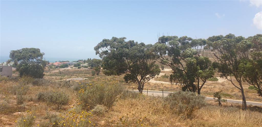 954 m² Land available in Britannica Heights photo number 5