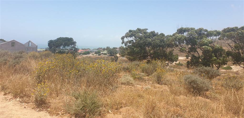 954 m² Land available in Britannica Heights photo number 10