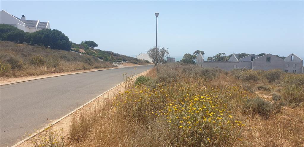 954 m² Land available in Britannica Heights photo number 6