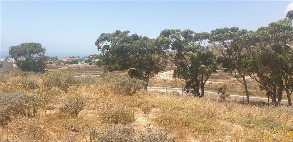 954 m² Land available in Britannica Heights photo number 13