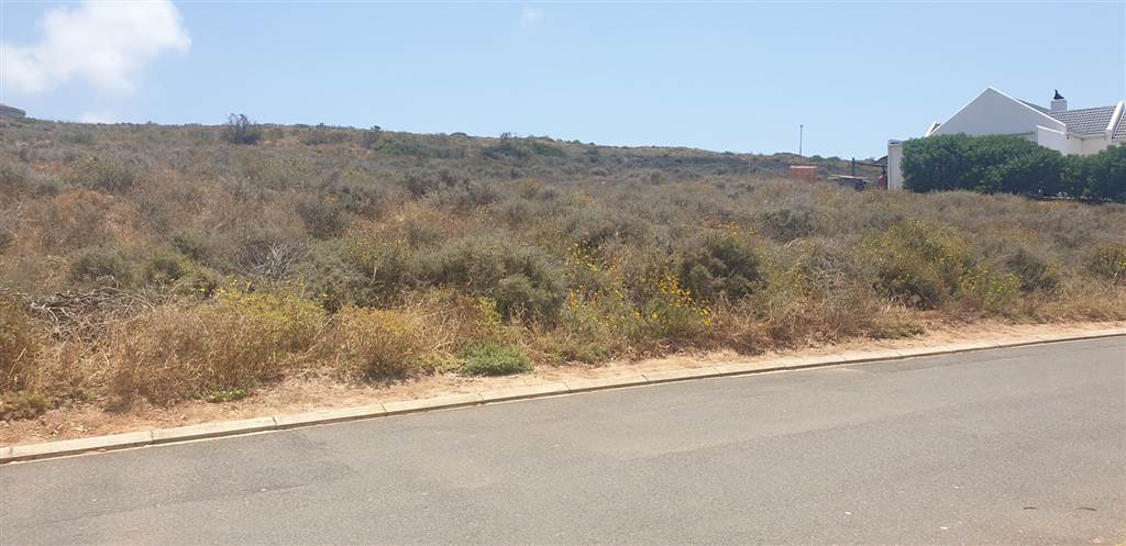 954 m² Land available in Britannica Heights photo number 7