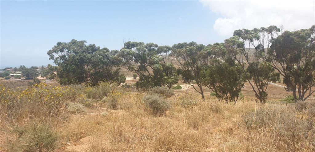 954 m² Land available in Britannica Heights photo number 11