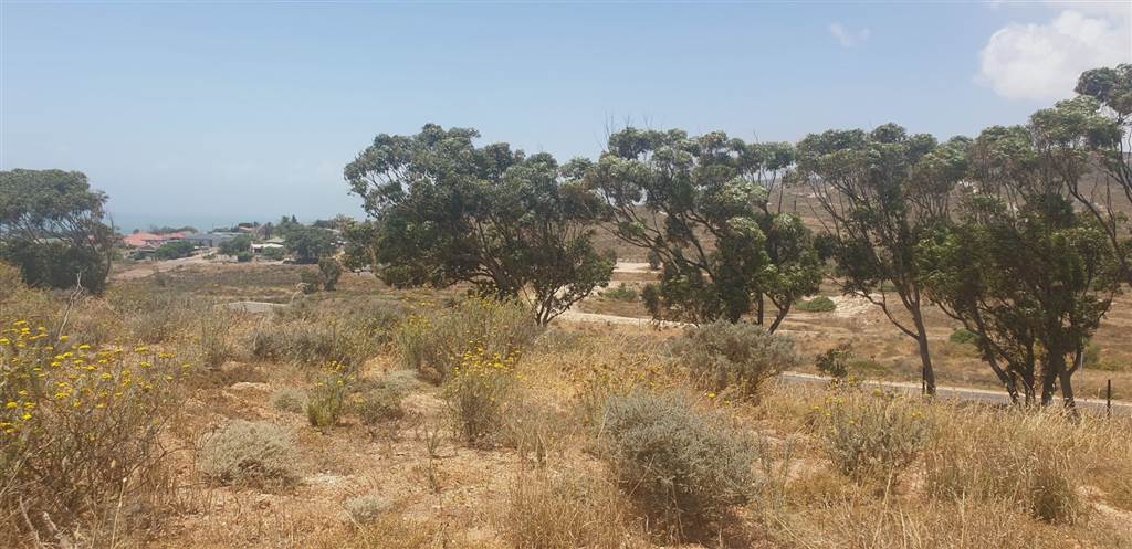 954 m² Land available in Britannica Heights photo number 3