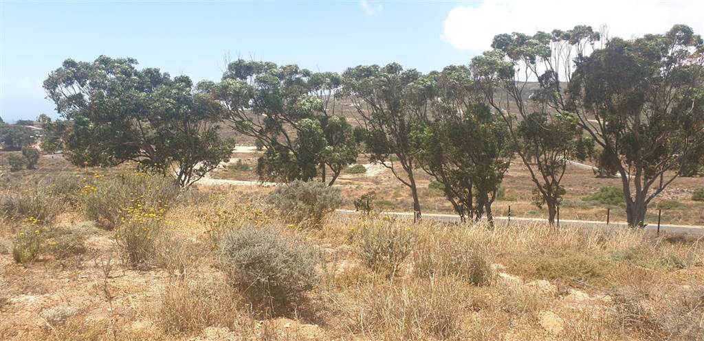 954 m² Land available in Britannica Heights photo number 2