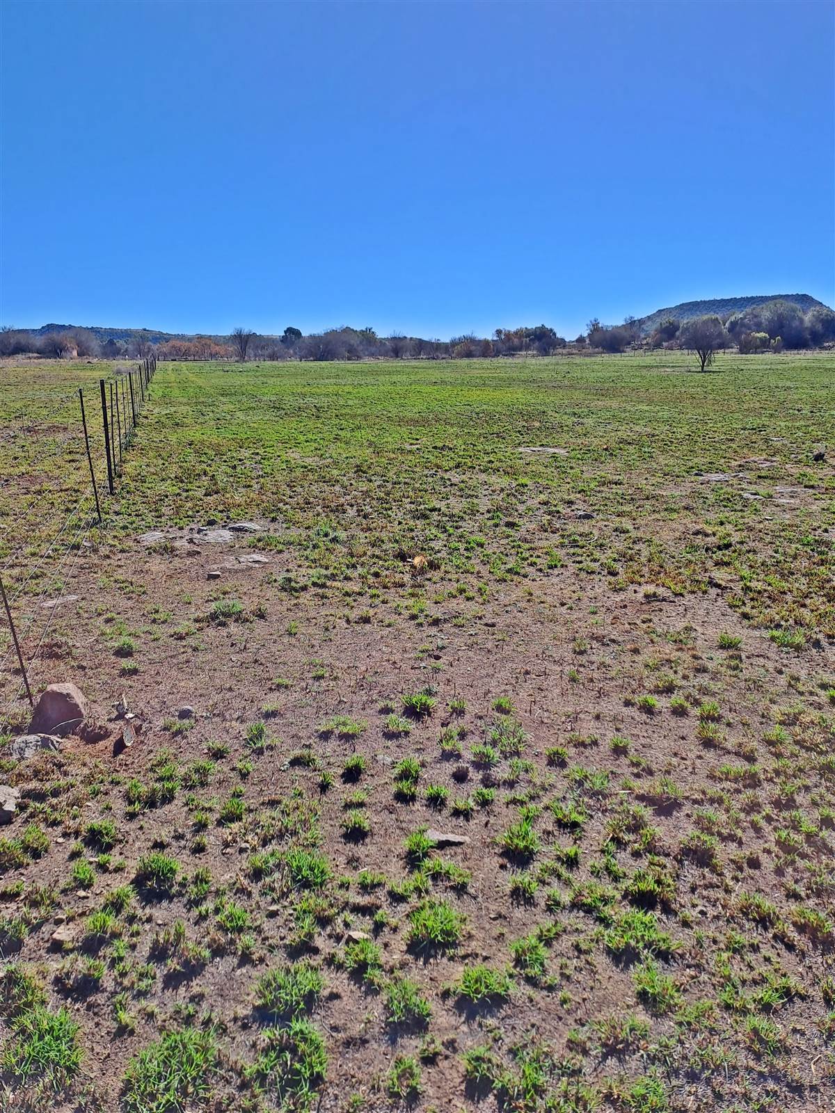 4.3 ha Land available in Olive Hill photo number 2