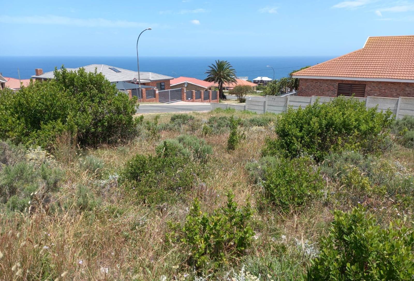 771 m² Land available in Dana Bay photo number 11