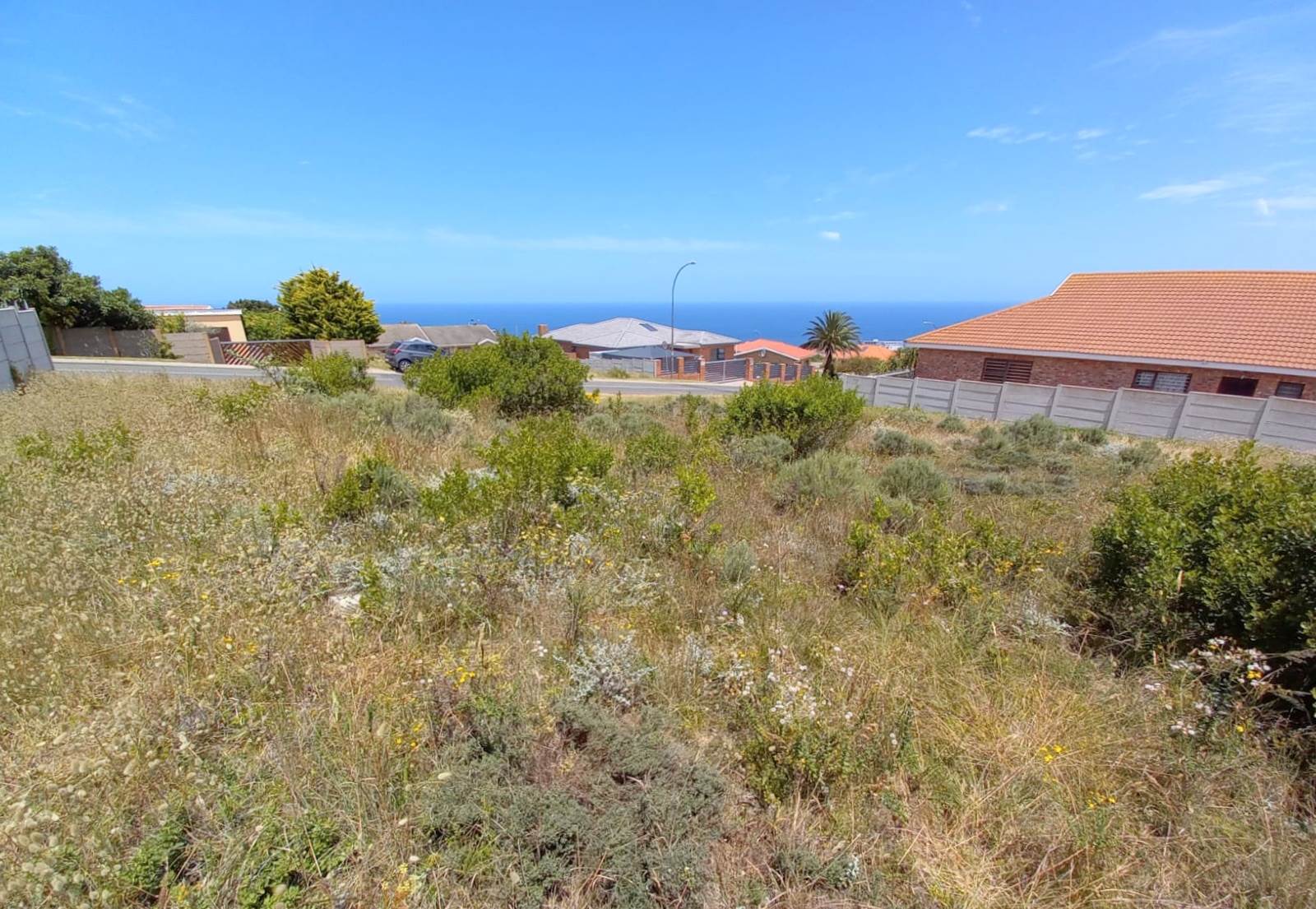 771 m² Land available in Dana Bay photo number 4